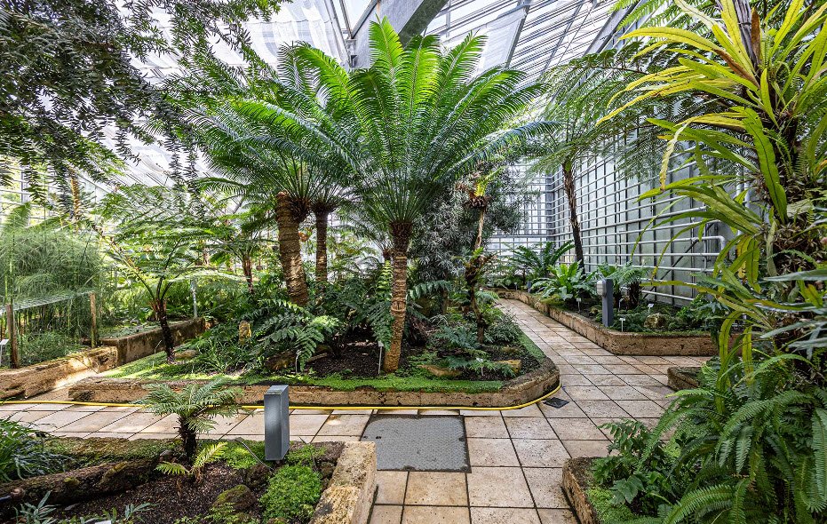 Universität Freiburg Botanical Garden, Germany